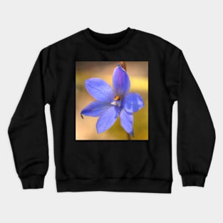 Dotted sun orchid .. Thelymitra ixioides II Crewneck Sweatshirt